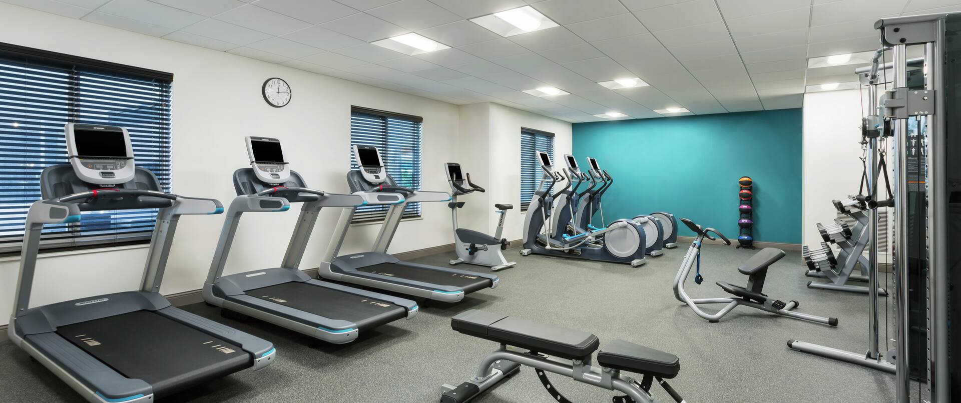 Cardio Machines and Equipment in Fitness Center