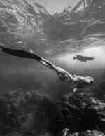 Woman swimming in the sea, with sea life
