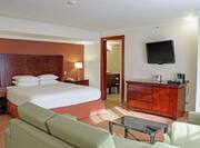 Junior Suite with 1 King Bed  