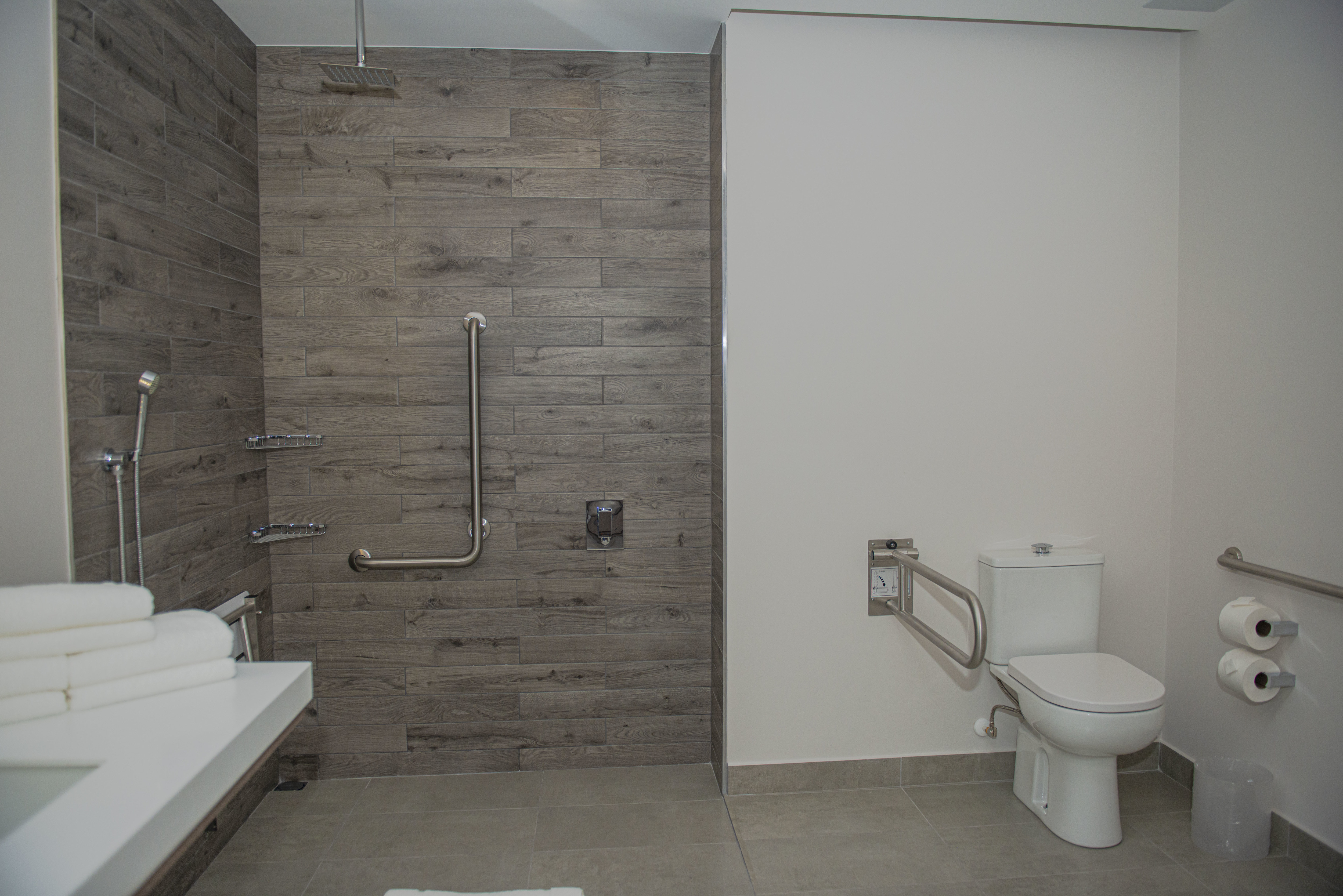 Accessible Bathroom Shower and Toilet