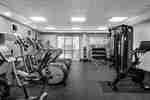 Fitness Center with Weights, Treadmills and Elliptical Machines