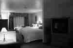 Two Queen Beds w/Sofabed
