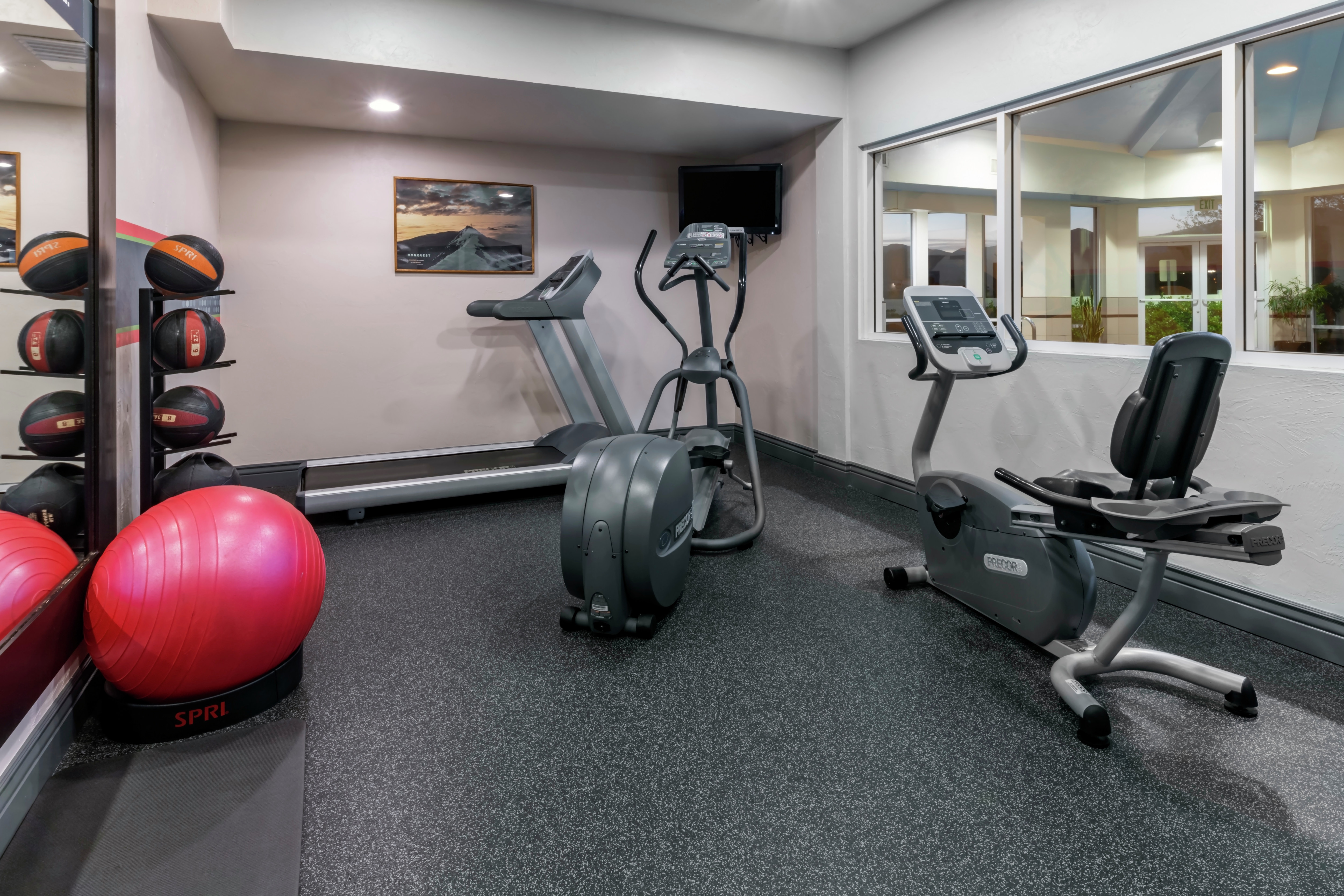 Recreational Room with Workout Equipment