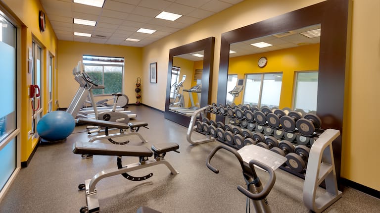 Fitness Center with Weights and Machines