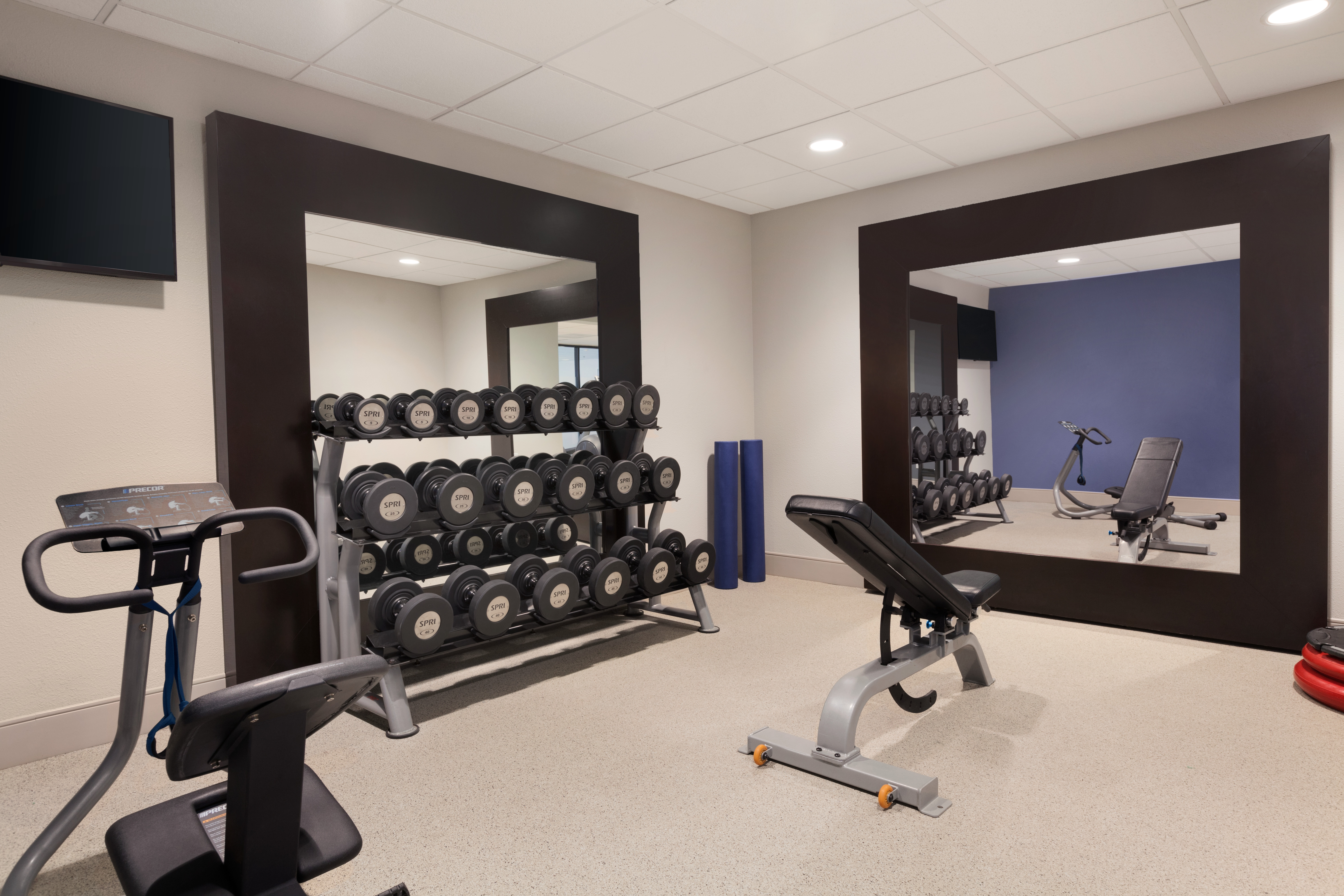 Fitness Center Machines and Weights Rack