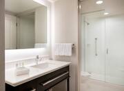 Suite Bathroom Vanity and Shower