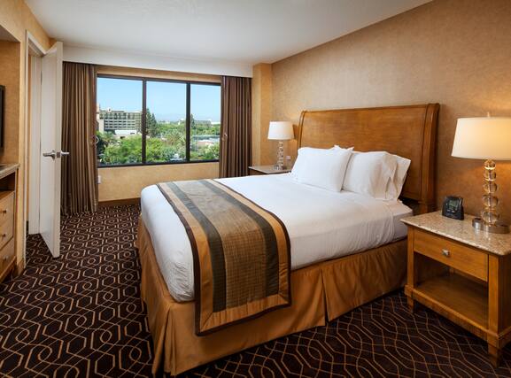 DoubleTree Suites by Hilton Hotel Anaheim Resort - Convention Center - Image3