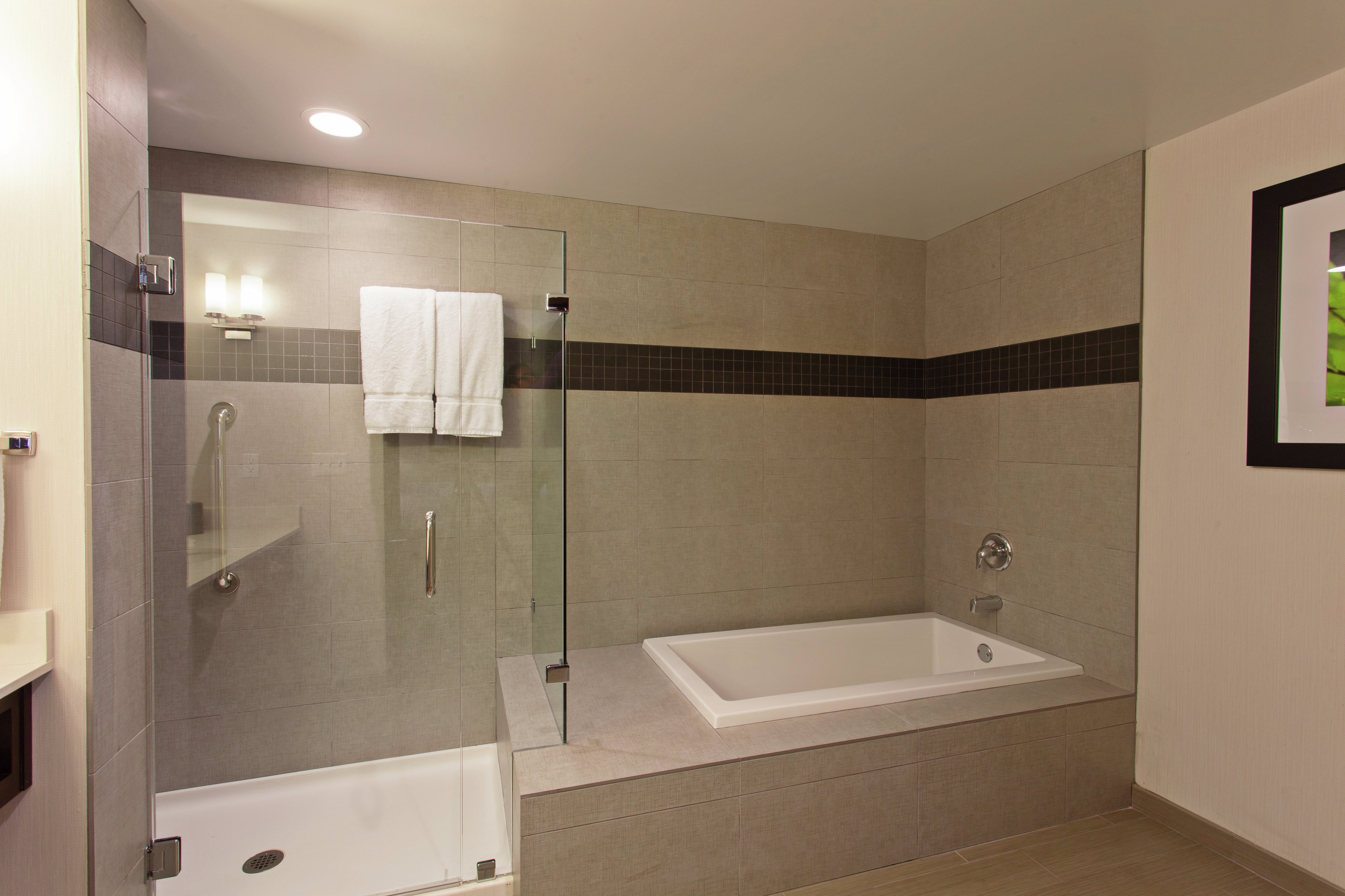 Suite Bathroom with Tub and Shower 