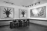 Brightly-lit coffehouse corner with tables, chairs, and modern artwork on the walls