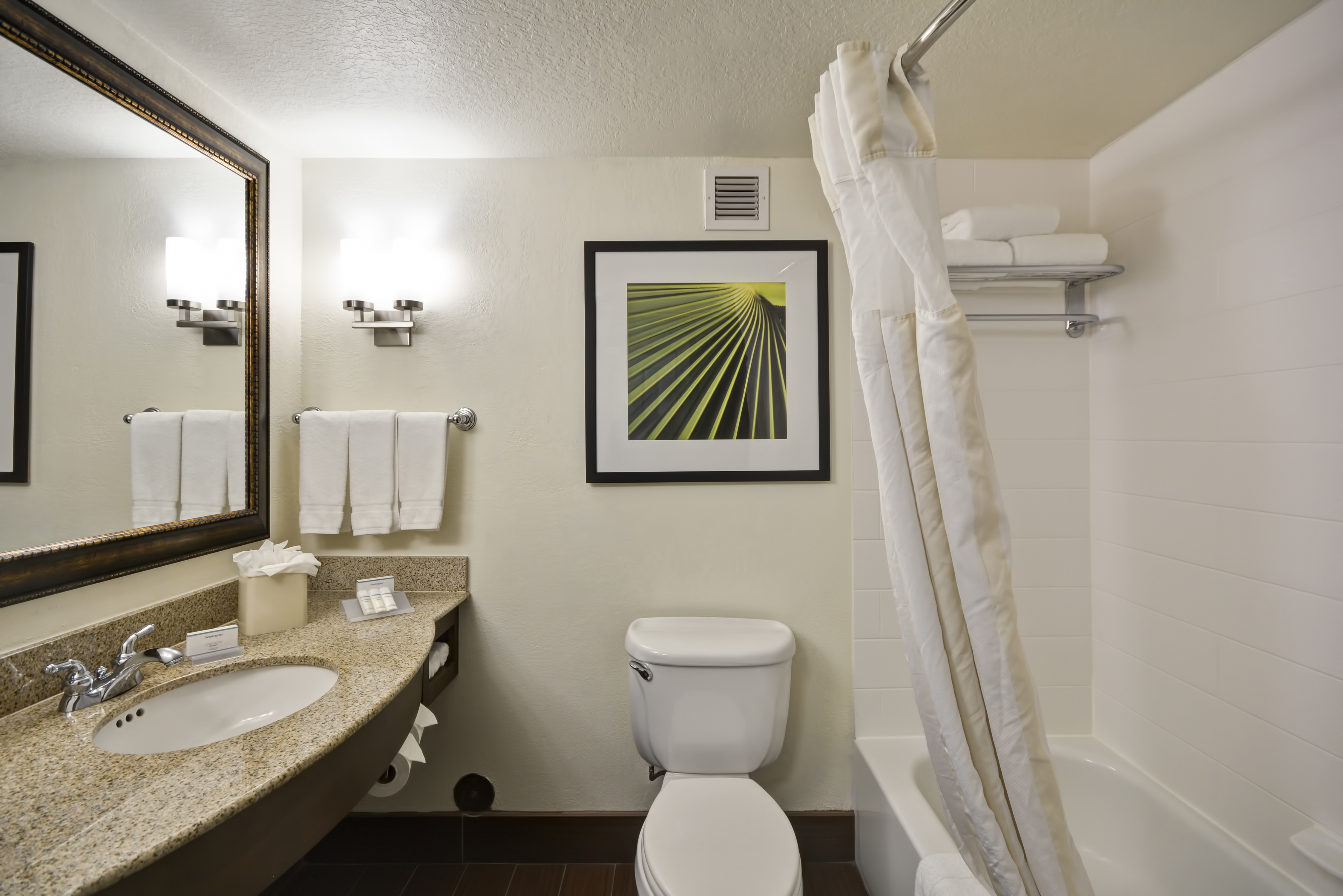 Large Vanity Mirror, Sink, Towels, Toiletries, Wall Art Above Toilet, and Tub in Standard Bathroom