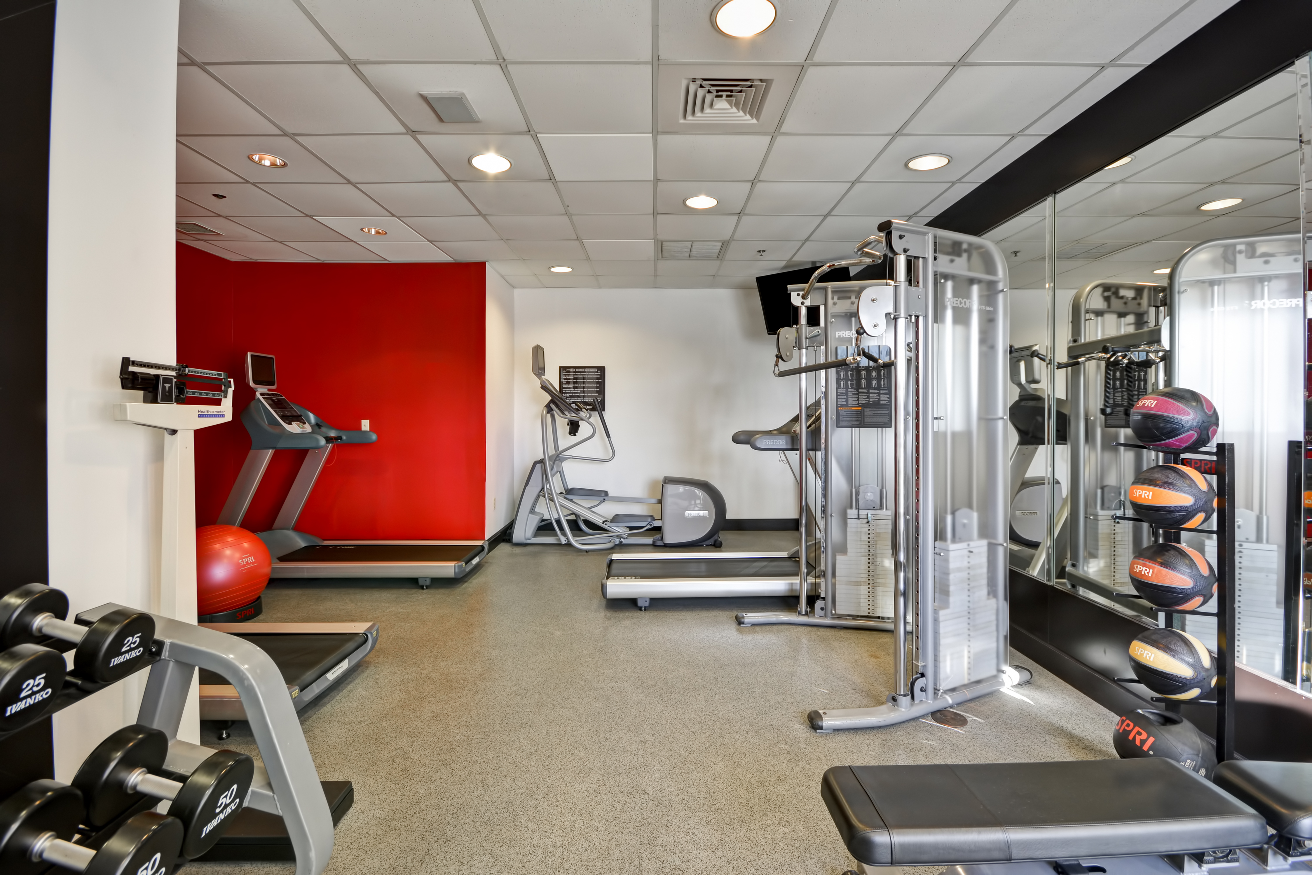 Fitness Center With Free Weights, Scale, Cardio Equipment, Red Stability Ball, Mirrored Wall, Weight Machine, Weight Balls, and Bench