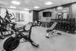 Fitness Center with Weights Treadmills and Recumbent Bike