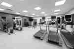 Fitness center with exercise machines and free weights