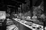 Breakfast buffet at Solander Dining and Bar