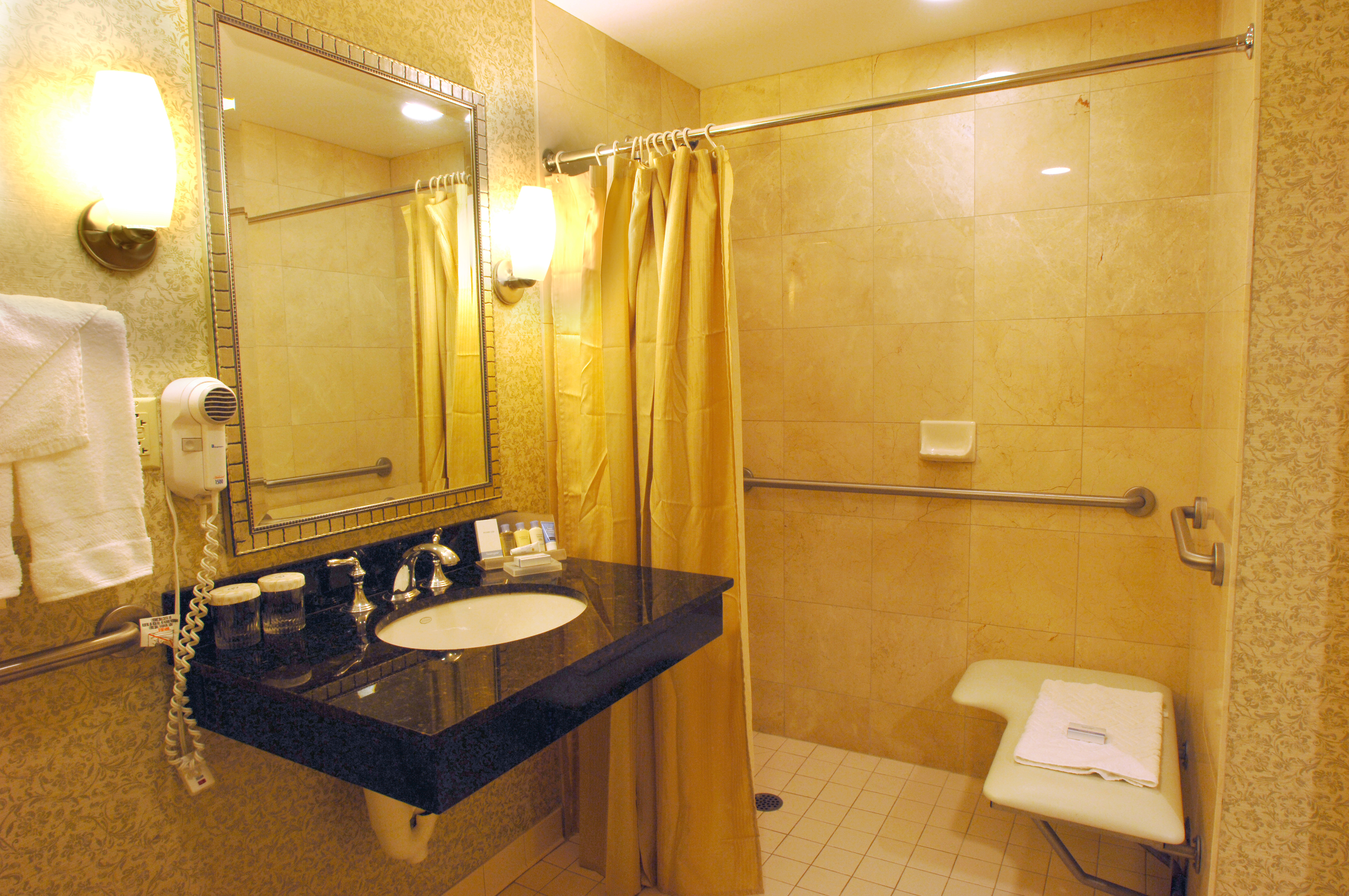 Accessible  Bathroom, Roll-in Shower