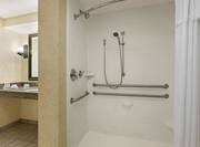 Spacious accessible bathroom featuring easy roll-in shower, adjustable shower head, vanity, and large mirror.