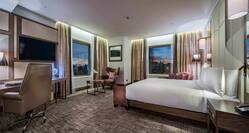 King Deluxe Room with Park View