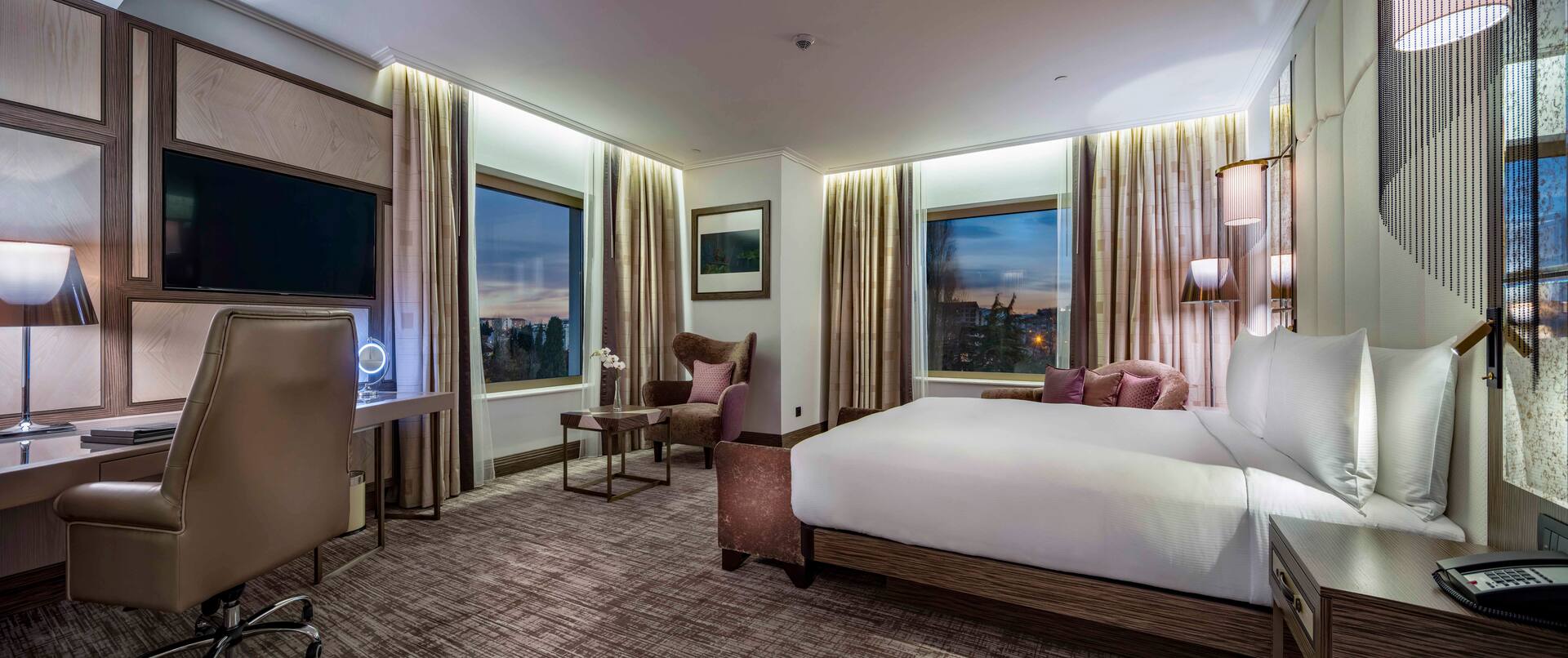King Deluxe Room with Park View