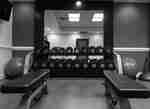 Fitness Center Free Weights