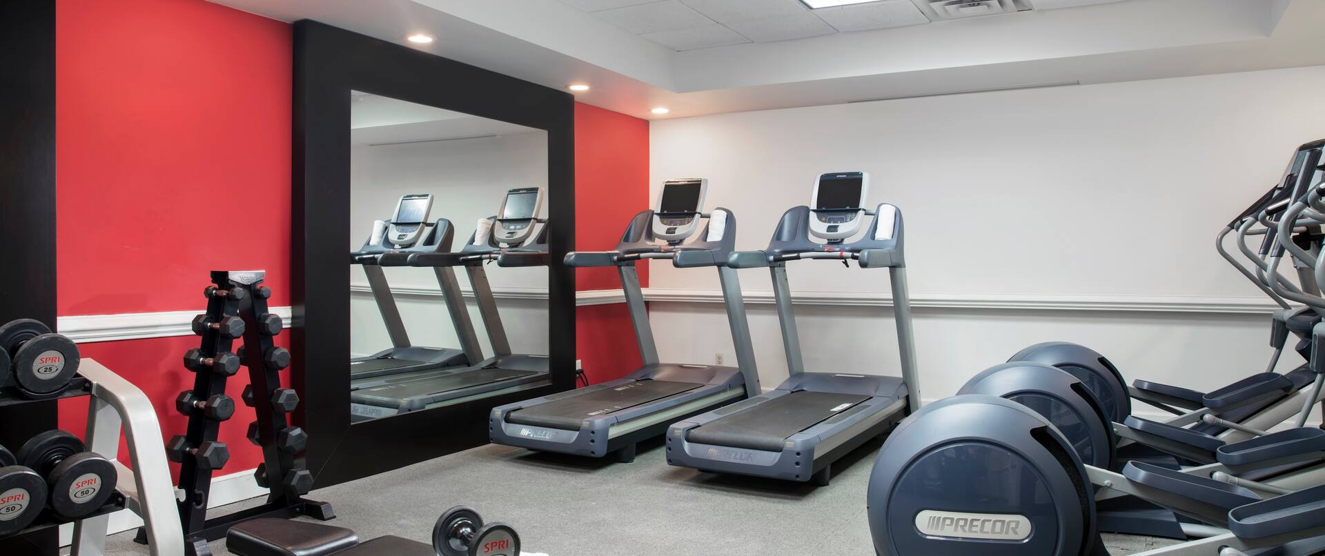 Fitness Center Treadmills, Cross-Trainers, Weight Bench and Dumbbell Rack