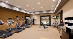 Fitness Center Treadmills, Cross-Trainers and Weight Bench