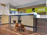 lobby front desk and pet friendly