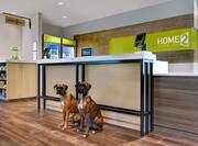 lobby front desk and pet friendly