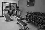 Fitness Center with weightbench and weights