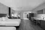 2 Queen Beds Studio