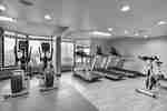 Fitness Center with Treadmills and Elliptical Machines