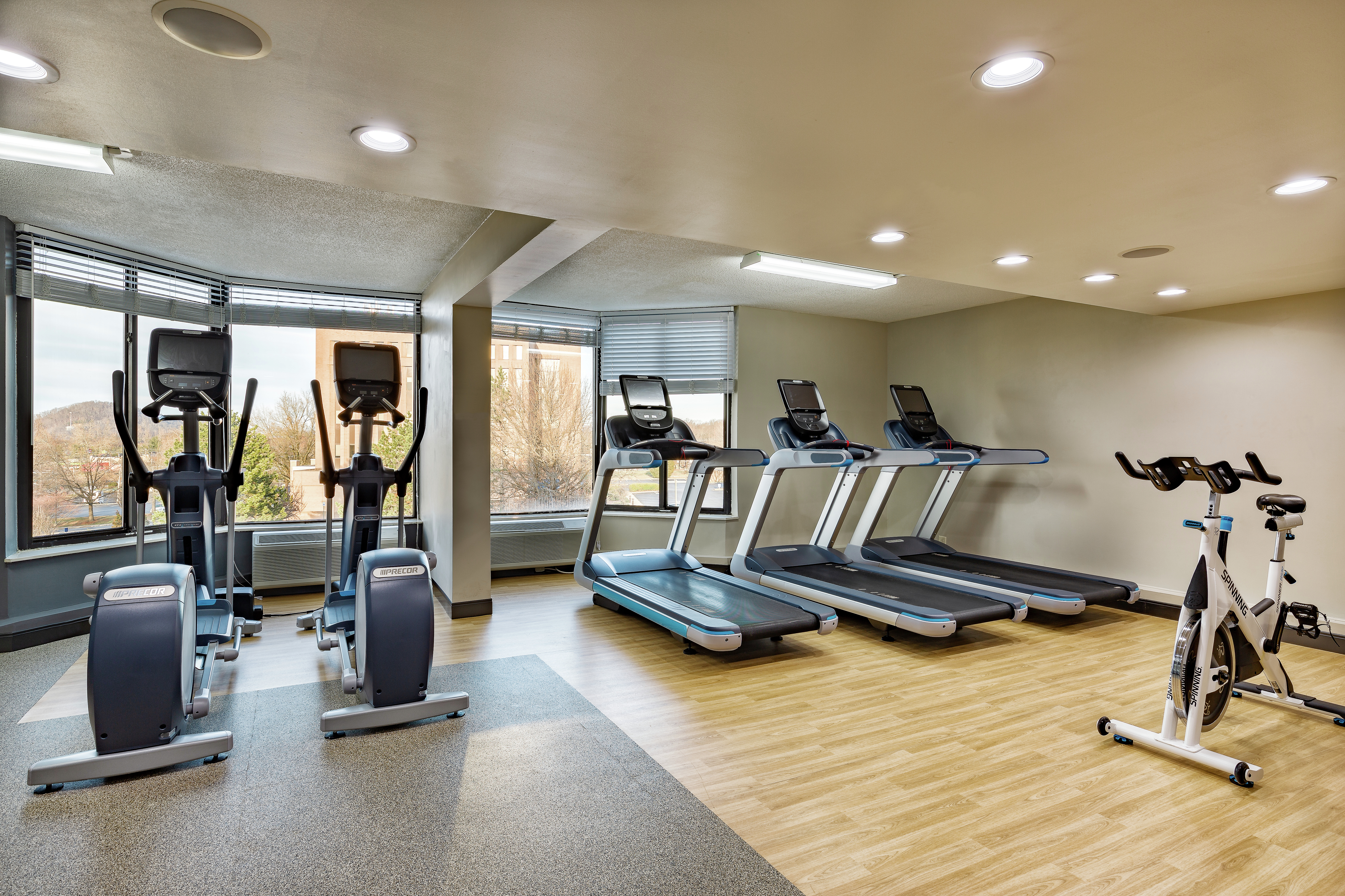 Fitness Center with Treadmills and Elliptical Machines