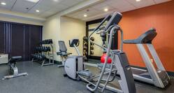 Fitness Center with Cross-Trainer, Weight Bench, Dumbbell Rack and Treadmill