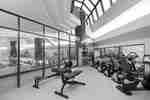 Fitness Center with Weight Bench, Rowing Machine and Cycle Machines