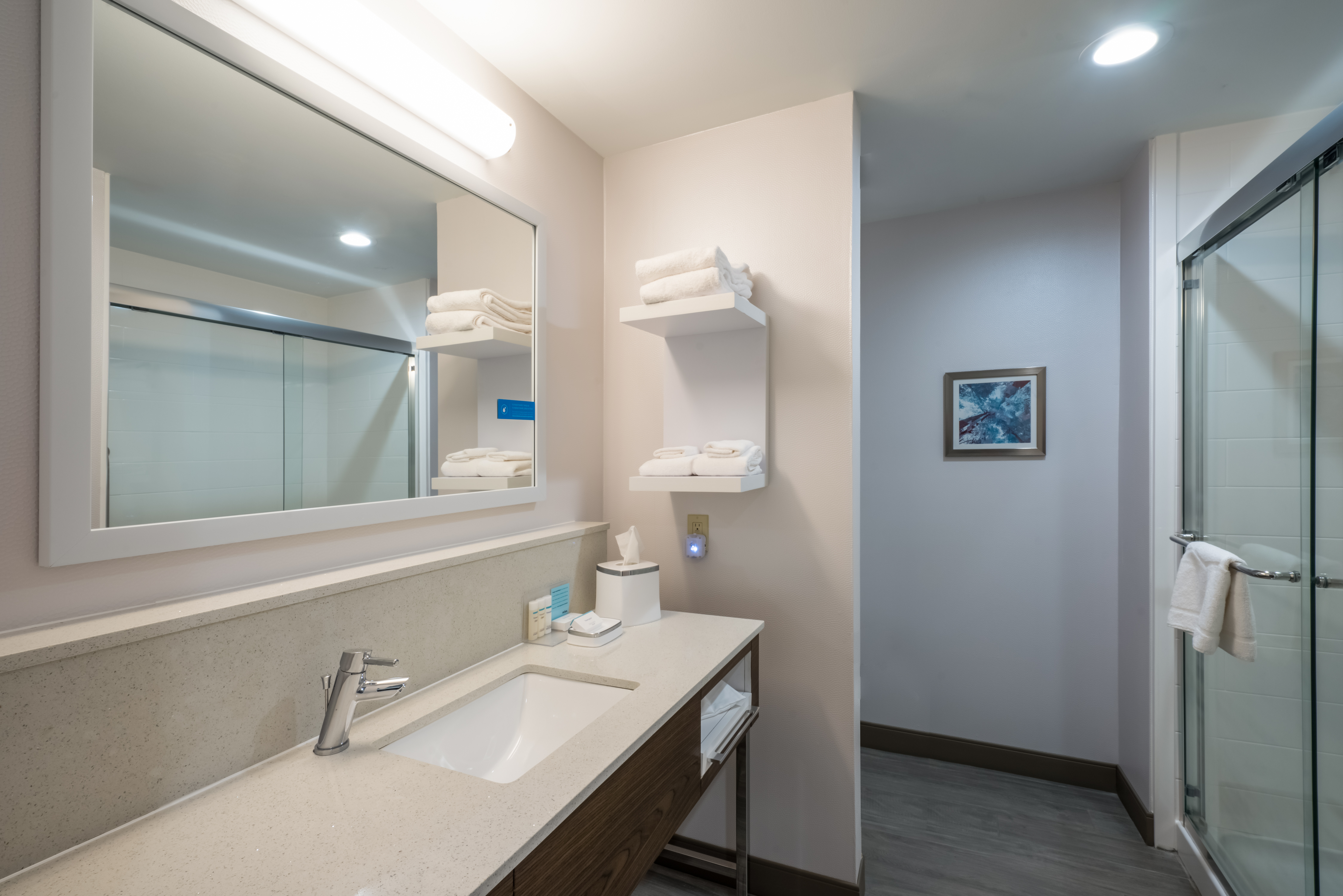 Guest Bathroom Vanity and Walk-In Shower