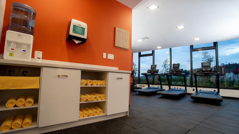 Fitness Center with Treadmills and Large Windows