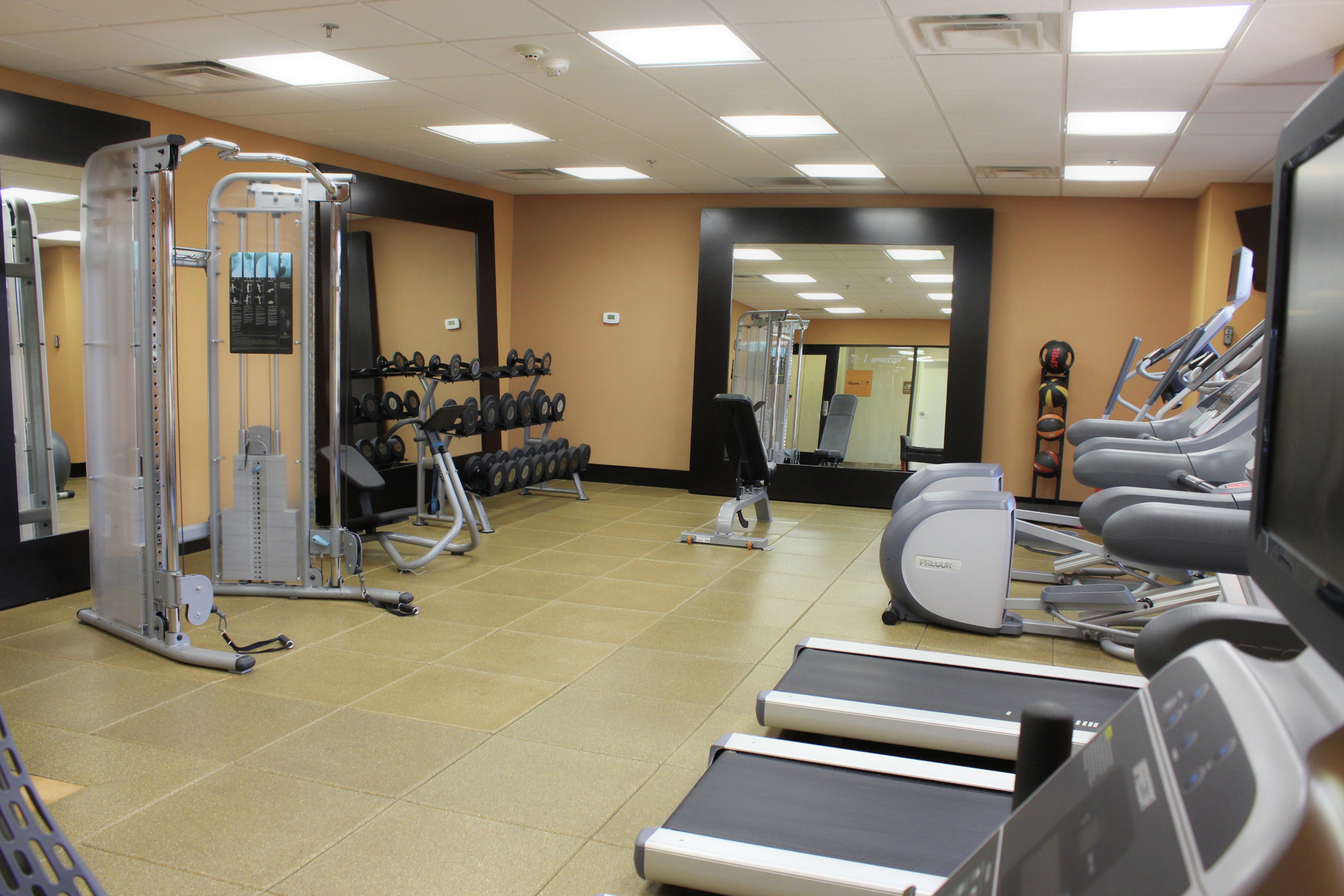 Weight Lifting Equipment in Fitness Center