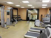 Weight Lifting Equipment in Fitness Center