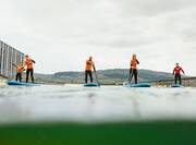 5 people on boards paddling in lake