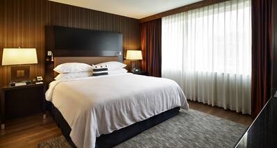 Premium Suites King Bed