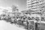 Swimming pool and dining area