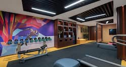 Fitness Center area and weights