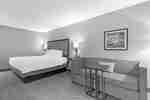 King Guest Room