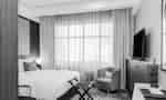 Large Bed, Seating Area, Desk and TV in a Guest Room