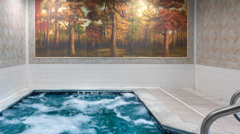 indoor hot tub / whirlpool spa, wall art
