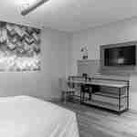 Yatak, çalışma masası ve sandalye, TV ve pencere bulunan misafir odası.