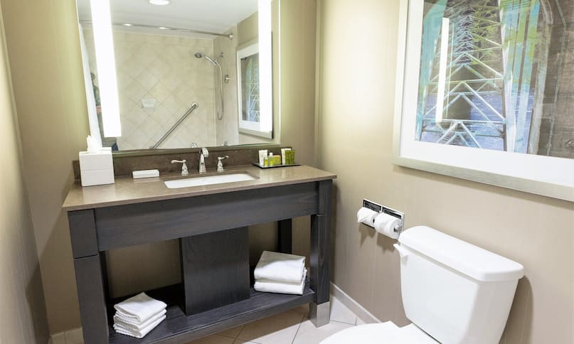 Two Queen Room Bathroom Vanity Area-previous-transition