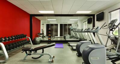 Fitness Center With Mirrored Wall, TVs, Cardio Equipment, Weight Bench, Free Weights, Stability Balls, and Weight Balls