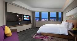 Suite with Kingbed, TV, lounging area and city views