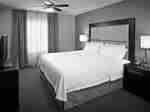 Ceiling Fan Above King Bed, Lamps on Bedside Tables, TV, and Window in Studio Suite  