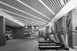 Treadmills and Weights in a Fitness Center